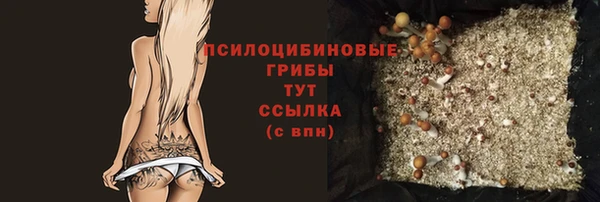 тгк Абдулино