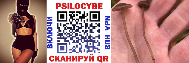 Псилоцибиновые грибы Cubensis купить наркоту Азов